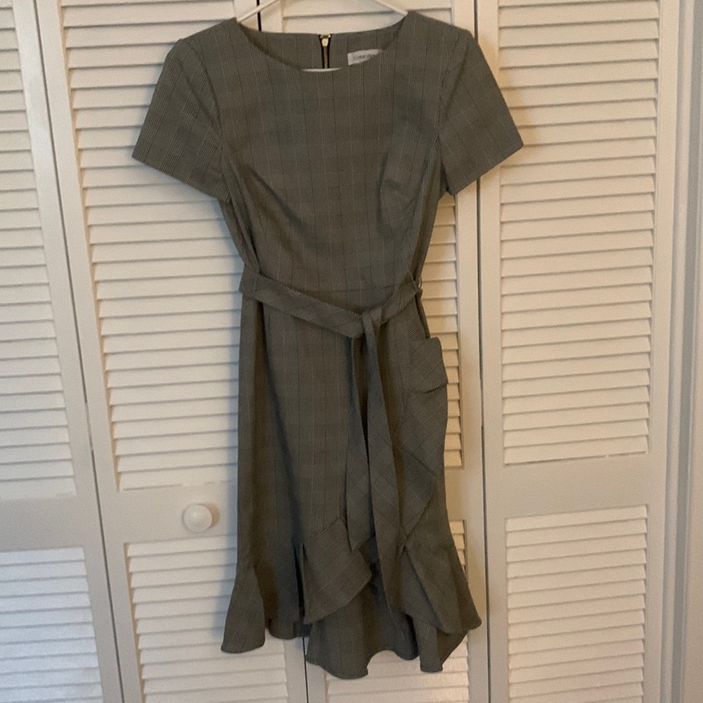 NWT size 8 P Calvin Kline dress